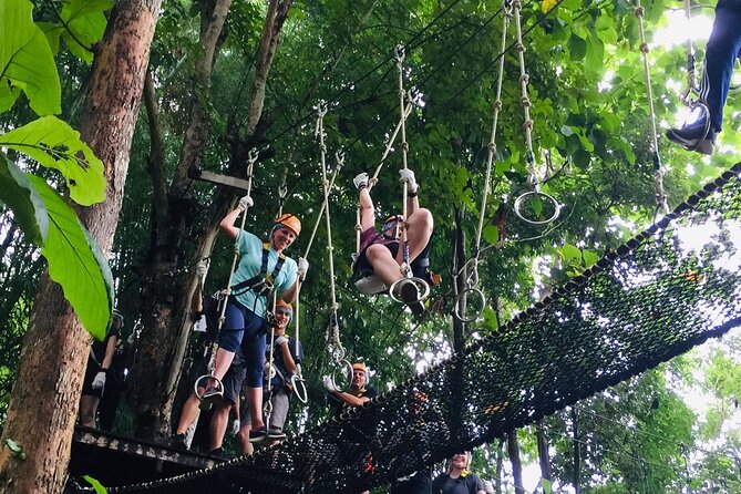 Phoenix Adventure Park Zipline, High Rope Course In Chiang Mai - Price and Value: What $40.34 Really Buys You