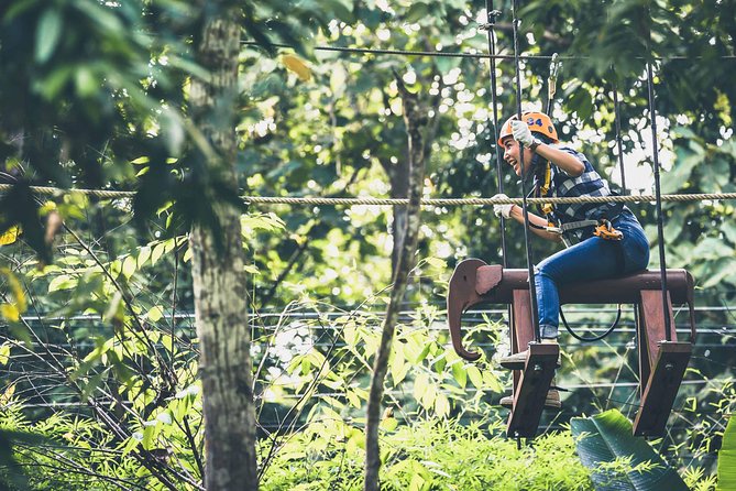 Phoenix Zipline Adventure Park – Chiang Mai Thrills - Price and value: is $37.65 worth your time?