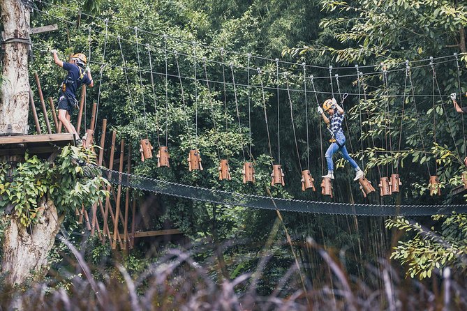 Phoenix Zipline Adventure Park – Chiang Mai Thrills - The course experience: rope nets, balance moments, and zip time