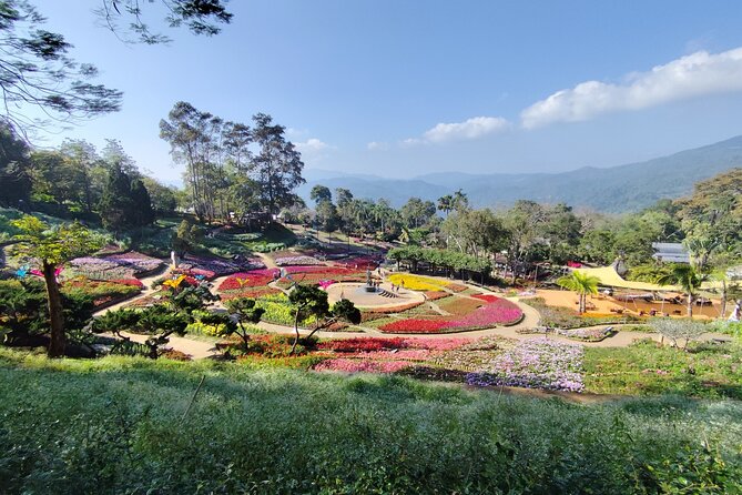 Private 3 Day Chiang Mai and Chiang Rai Tour - Day 3 in Chiang Rai: Black House Art, Blue and White Temples, Tea, Hot Springs