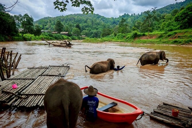 Private 3 Day Chiang Mai and Chiang Rai Tour - Day 1 in Chiang Mai: Sticky Waterfall, Elephants, Long Neck Village, Chiang Dao Cave