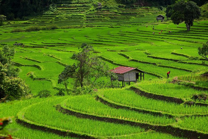Private: 3 days 2 night trip: ChaingMai-Chaingrai- The Golden Triangle trip - Why this Chiang Mai to Chiang Rai route feels different