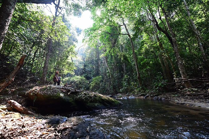 Private All-Inclusive Doi Inthanon & Pha Dok Siew Waterfall Tour - Doi Inthanon National Park: what the peak area can and cannot do