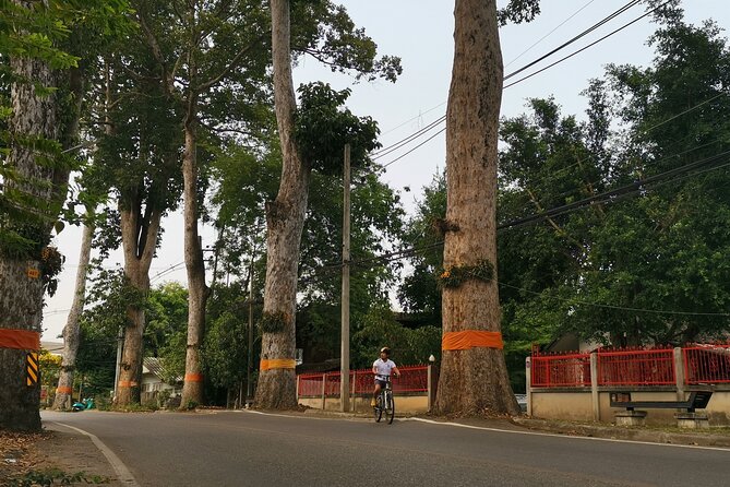 Private Chiang Mai Half-Day Bike Tour - How the Chiang Mai half-day bike route actually flows
