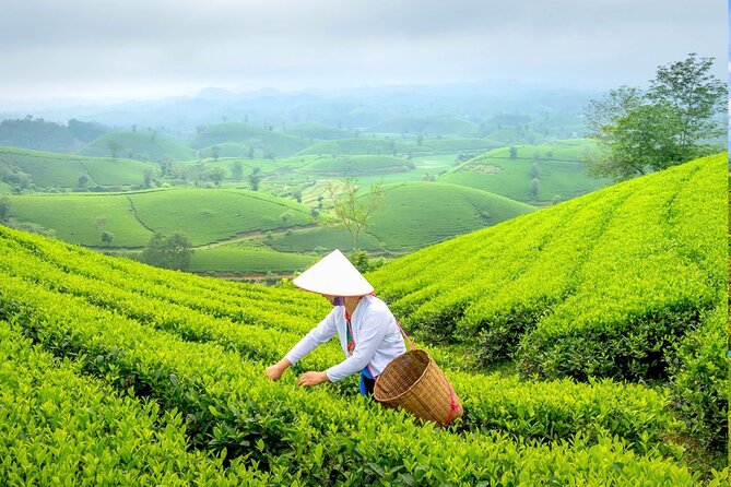 Private Chiang Rai Day Trip with Golden Triangle from Chiang Mai - Getting picked up and how the 12 hours usually feel