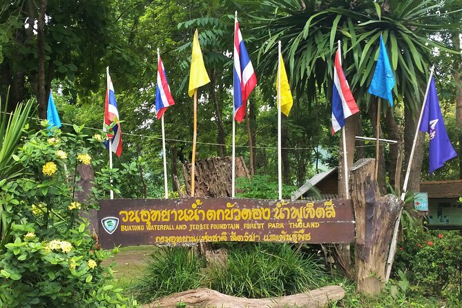 Private Tour: Bua Thong Sticky Waterfalls Tour - Sticky Waterfalls 101: why this place is different in Chiang Mai