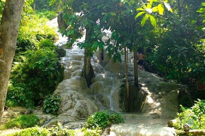 Private Tour: Bua Thong Sticky Waterfalls Tour - Guide-led route, plus what to look for during your climb