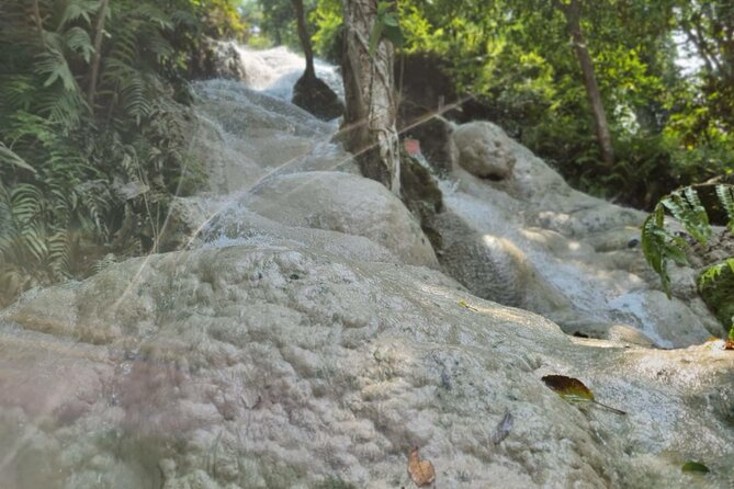Private Tour: Bua Thong Sticky Waterfalls Tour - Price and value for a private half-day in Chiang Mai