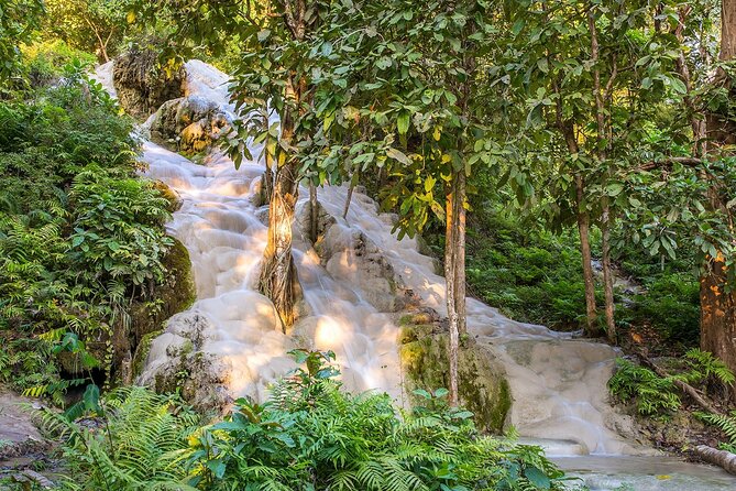 Private Tour: Bua Thong Sticky Waterfalls Tour - Private transfers from Chiang Mai hotels, and why it matters