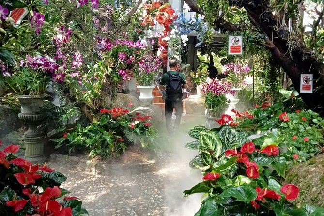 Private Tour Chiang Rai 3 Wonderful Temples & Lalitta Cafe - Wat Rong Khun White Temple, Plus The Cave Of Art Ticket
