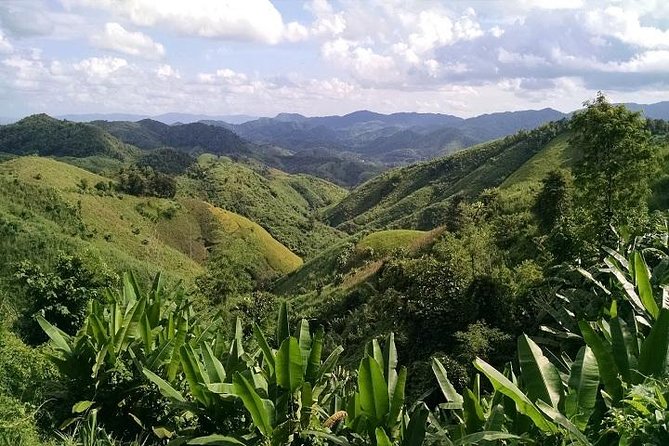 Private Tour: Chiang Rai Golden Triangle Day Trip from Chiang Mai - Hall of Opium: making sense of the Golden Triangle story