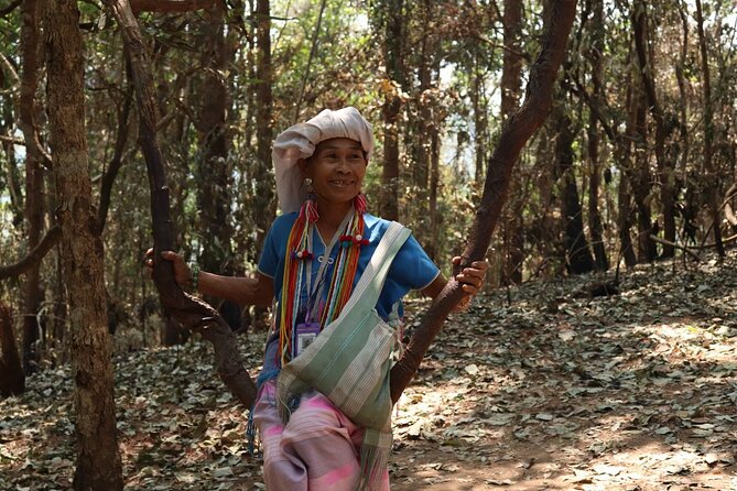 Private Tour Doi Inthanon And Trekking Nature Trail, Chiang Mai - Door-to-door comfort: why the private van matters