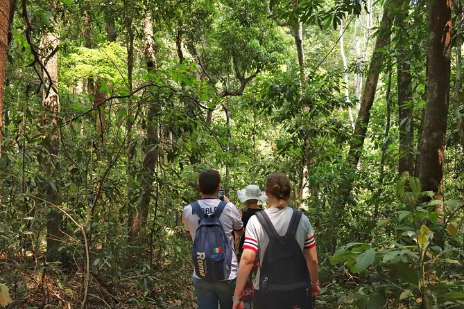Private Tour Doi Inthanon And Trekking Nature Trail, Chiang Mai - Lunch and the Hmong market: small stops that add flavor