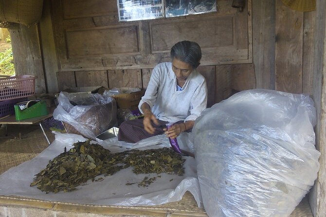 Private Tour in Chiang Mai Village Experience Nature - Optional Thai herbal stream: prebooking the experience and budgeting for it