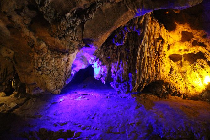Private tour] Perfect day! Sticky waterfall + ChiangDao Cave + Wat BandenTemple - Stop 1: Bai Orchid and Butterfly Farm for a Gentle, Pretty Start