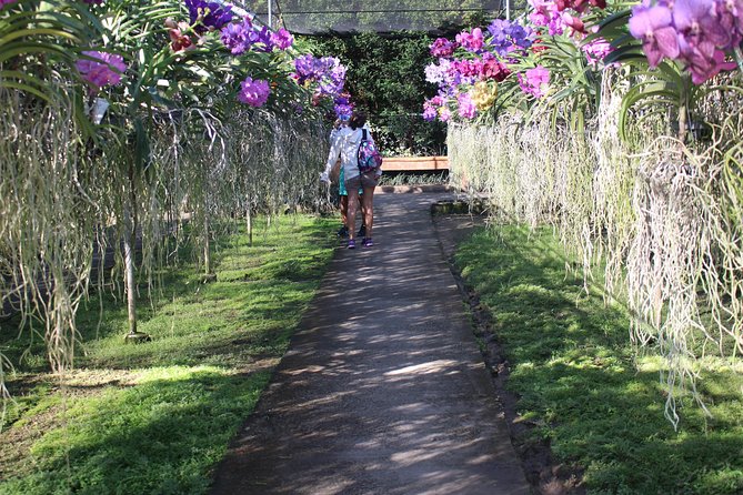 Private tour] Perfect day! Sticky waterfall + ChiangDao Cave + Wat BandenTemple - Price and Value: What $119.97 Buys You in a Busy Day