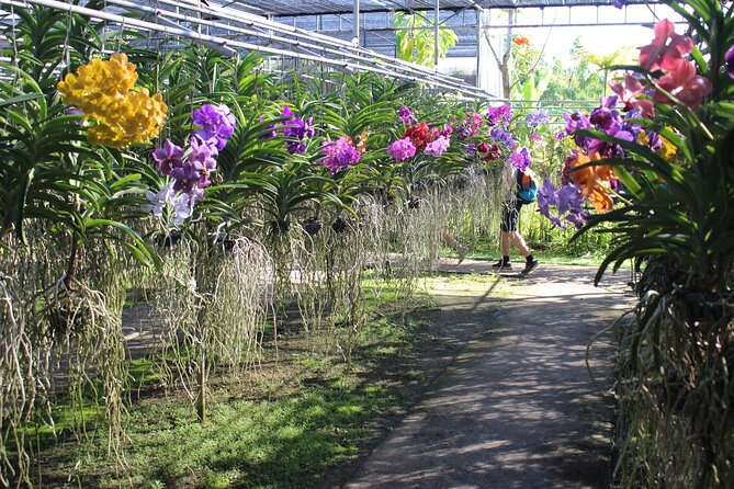 Private tour] Perfect day! Sticky waterfall + ChiangDao Cave + Wat BandenTemple - Hotel Pickup, Ticket Handling, and Why That Matters