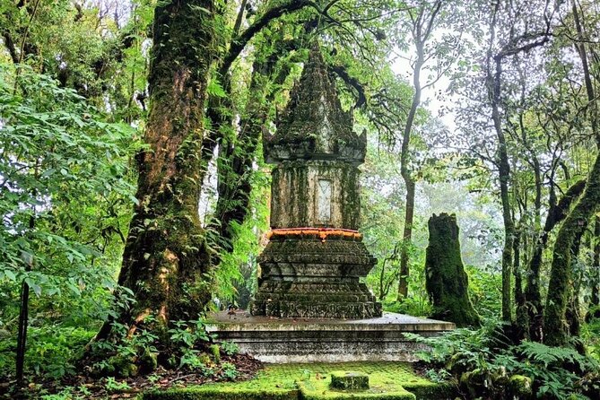 Private Tour to Chiang Mai Rice Terraces and National Park - Ang Ga Trail in the High Humidity Forest
