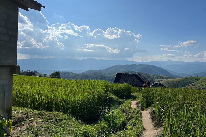 Private Tour to Chiang Mai Rice Terraces and National Park - Ban Pa Pong Piang Terraces: The Mountain Rice Photo Stop