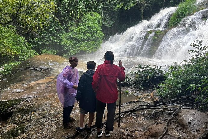 Private Tour to Doi Inthanon including Twins Pagodas and Hiking - Stop 2: Ang Ka Nature Trail, Teak Boardwalk Through Cloud Forest