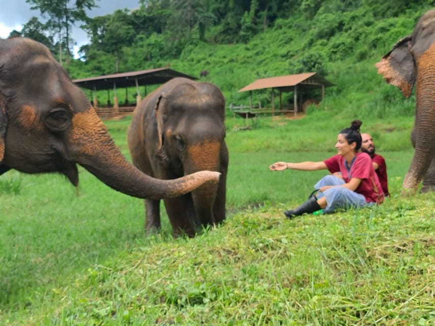 Rantong elephant sanctuary Chiangmai - Who should book this elephant sanctuary day