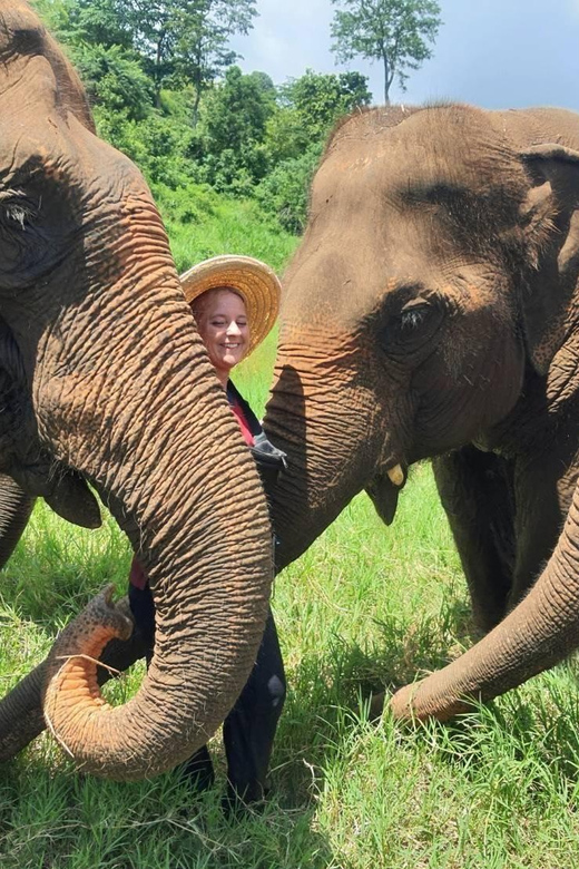Rantong elephant sanctuary Chiangmai - Why Rantong Elephant Sanctuary feels grounded, not touristy