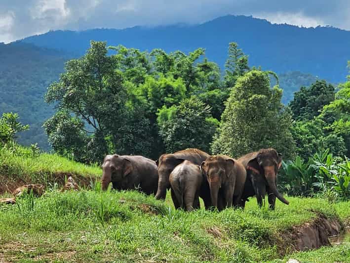 Rantong elephant sanctuary Chiangmai - Getting there from Old City: how the day starts