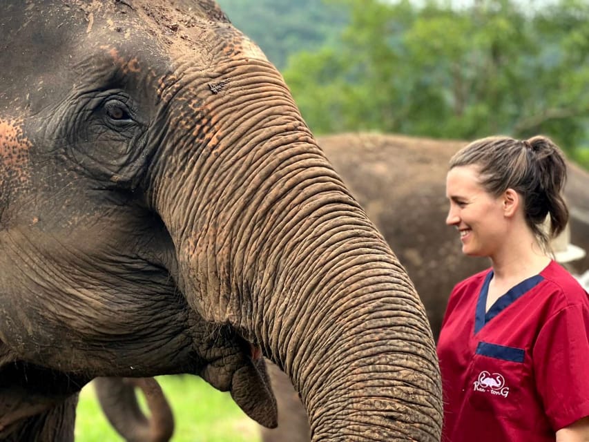 Rantong elephant sanctuary Chiangmai - The feeding and walking part: what respect looks like up close