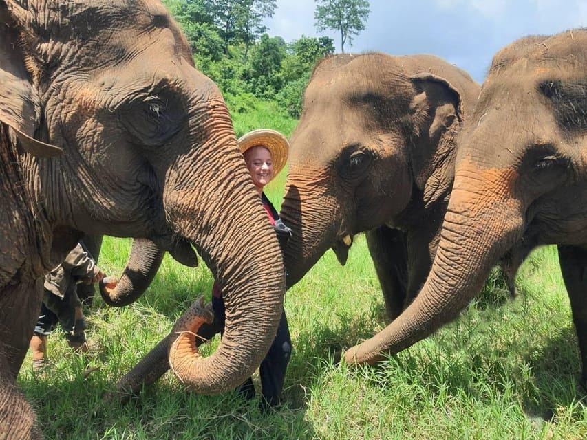 Rantong elephant sanctuary Chiangmai - Bath time: why it can be the most memorable part