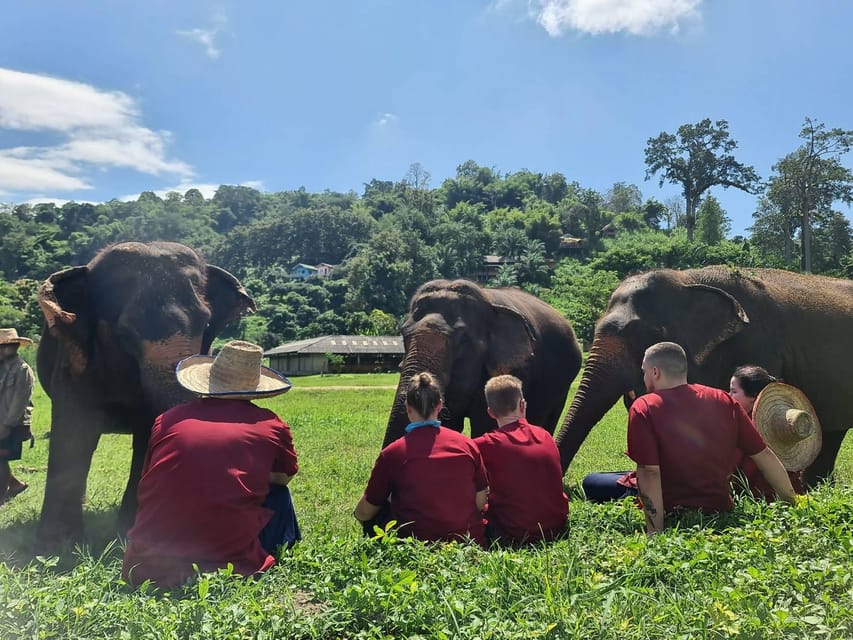 Rantong elephant sanctuary Chiangmai - Lunch or dinner: simple Thai comfort without extra planning