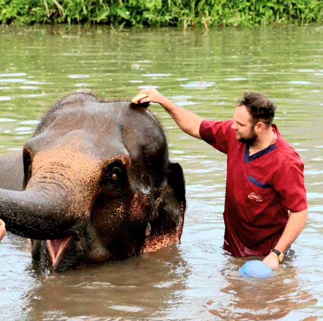 Rantong elephant sanctuary Chiangmai - Price and time: does $57 feel worth it in Chiang Mai?