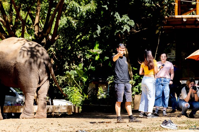Scooter Adventure with elephants, views and FUN drive yourself - Chiang Mai moves faster on two wheels
