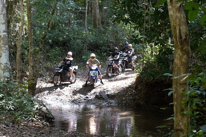 Scooter Adventure with elephants, views and FUN drive yourself - Price and logistics: what $126.55 buys you