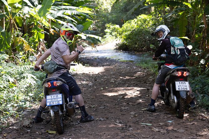 Scooter Adventure with elephants, views and FUN drive yourself - Should you book? My honest take