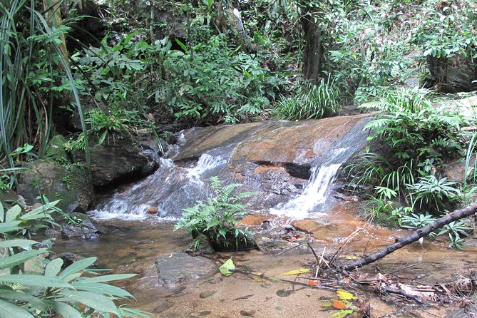 Small Group : Trekking Trip in Chiang Mai (Doi Suthep Area) with Market Tour - How this Doi Suthep area trek balances culture and nature