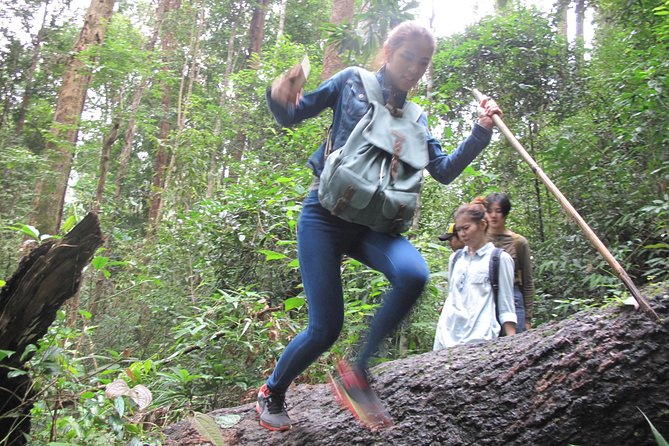 Small Group : Trekking Trip in Chiang Mai (Doi Suthep Area) with Market Tour - Morning Fresh Market and Doi Suthep Temple, before your boots get muddy