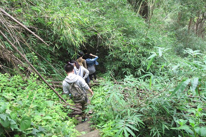 Small Group : Trekking Trip in Chiang Mai (Doi Suthep Area) with Market Tour - The downhill trek to Monthathan Waterfall: pace, timing, and what to pack