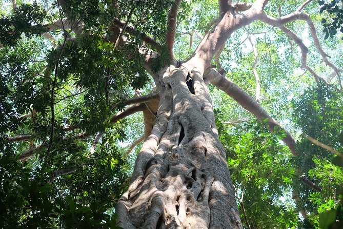 Small Group : Trekking Trip in Chiang Mai (Doi Suthep Area) with Market Tour - Who this trek is best for, and who should skip it