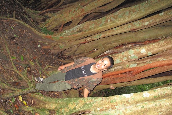 Small Group : Trekking Trip in Chiang Mai (Doi Suthep Area) with Market Tour - Price and value: is $62.91 a good deal?