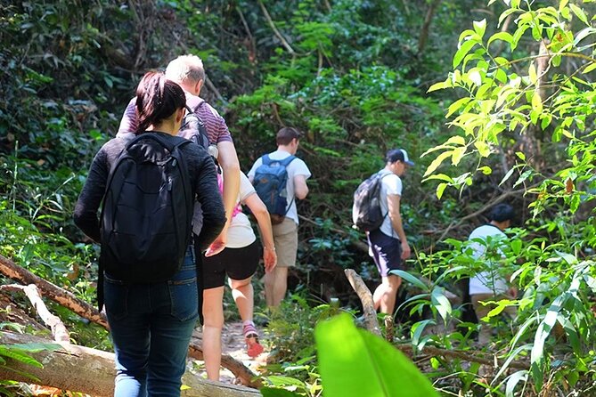 Small Group : Trekking Trip in Chiang Mai (Doi Suthep Area) with Market Tour - Pui National Park forest talk: what you actually gain