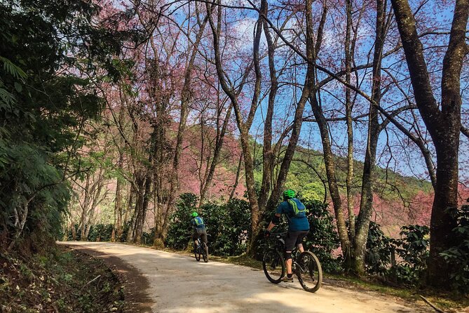 Smoke on the Water Trail Mountain Biking Tour Chiang Mai - Who should book this Chiang Mai MTB day