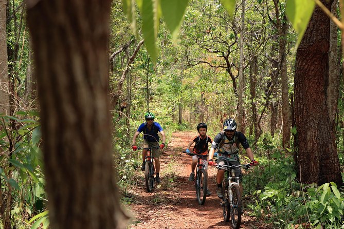 Sticky Waterfall Cycling Tour - Lunch at the end, snacks that keep you from crashing