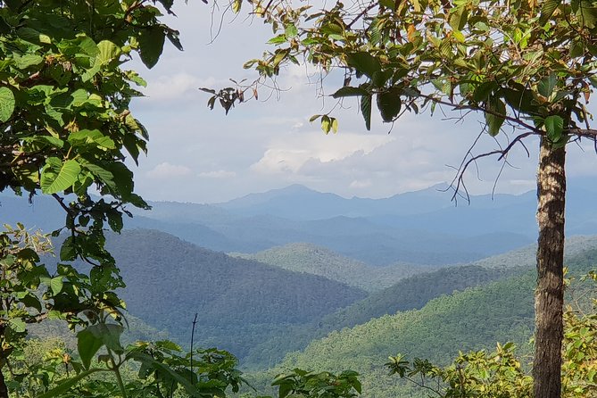 Sticky Waterfall Cycling Tour - Timing, weather, and the reality of riding in Chiang Mai