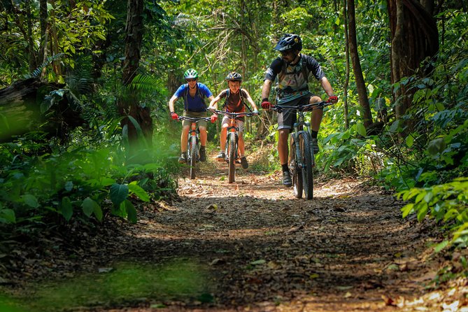 Sticky Waterfall Cycling Tour - The route beyond the waterfall, including a cave with bats