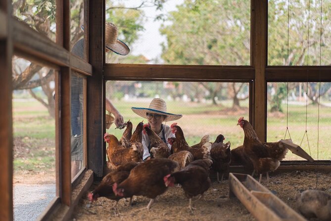 Sunset Thai Cooking with Grandma - Farm & Evening Feast - Who this is best for, and who might not love it
