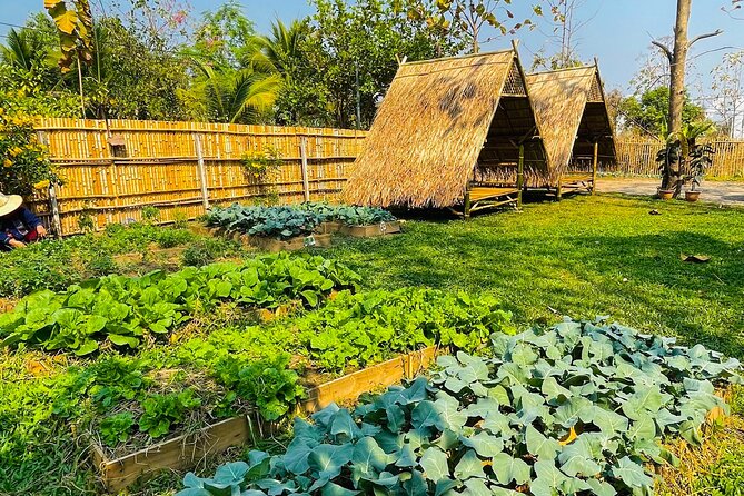 Team Aim Thai Cooking School (#1 Cooking Class in Chiang Mai) - Open-Air Kitchen Setup: Small Group, Big Hands-On Time