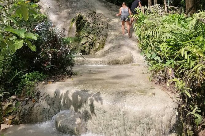 The Best Full Day Tour: Doi Suthep, Wat Phalat, Sticky Waterfall - Bua Tong Sticky Waterfall (Nam Phu Chet Si): fun, wet, and worth it