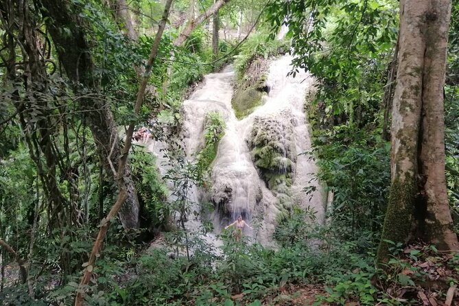 The Best Full Day Tour: Doi Suthep, Wat Phalat, Sticky Waterfall - How the guide shapes your day (Mongkol, Kiow, and good timing)
