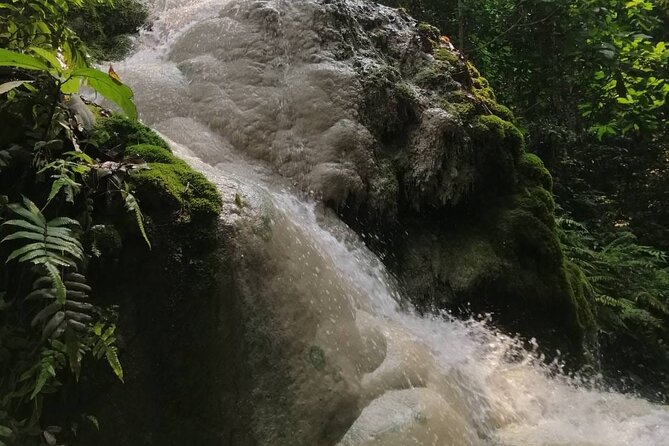 The Best Full Day Tour: Doi Suthep, Wat Phalat, Sticky Waterfall - Food and breaks: how to keep the day from feeling exhausting