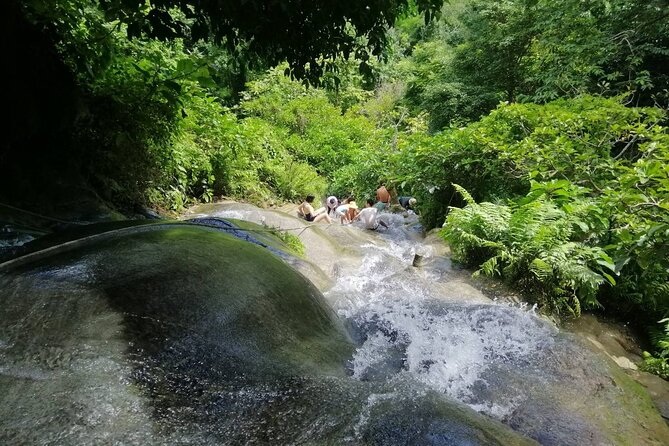 The Best Full Day Tour: Doi Suthep, Wat Phalat, Sticky Waterfall - Wat Pha Lat: the calmer forest temple break